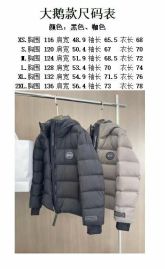 Picture of Canada Goose Down Jackets _SKUCanadaGooseXS-XXLzyn028722